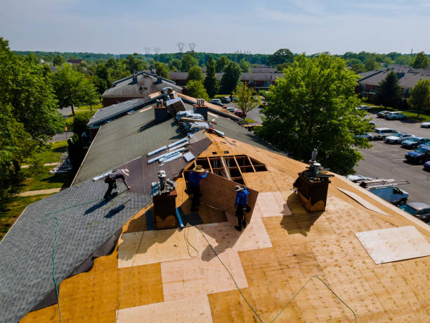 Best Storm Damage Roof Repair  in West Point, GA