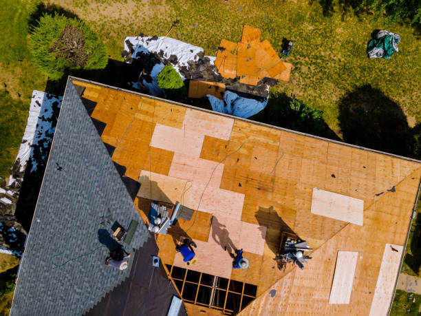 Best Gutter Installation and Roofing  in West Point, GA